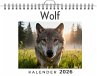 Wolf - Bild 1