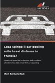 Cosa spinge il car pooling sulle brevi distanze in Francia? Cosa spinge il car pooling sulle brevi distanze in Francia?