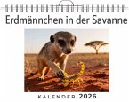 Erdmännchen in der Savanne