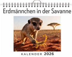 Erdmännchen in der Savanne - Schmidt, Theo