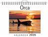 Orca - Bild 1