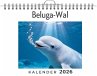Beluga-Wal - Bild 1