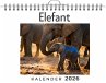 Elefant - Bild 1