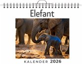 Elefant
