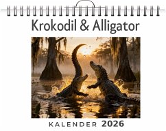 Krokodil & Alligator - Schröder, Charlotte