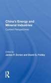 China's Energy And Mineral Industries