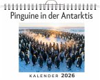 Pinguine in der Antarktis