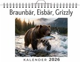 Braunbär, Eisbär, Grizzly Braunbär, Eisbär, Grizzly