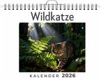 Wildkatze