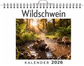Wildschwein Wildschwein