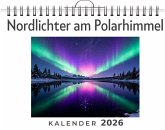 Nordlichter am Polarhimmel