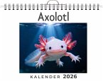 Axolotl
