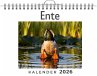 Ente - Bild 1