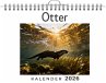 Otter - Bild 1