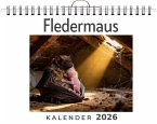 Fledermaus Fledermaus