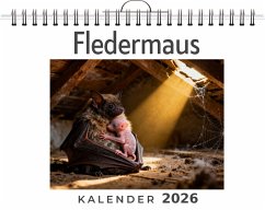 Cover Fledermaus