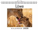 Löwe