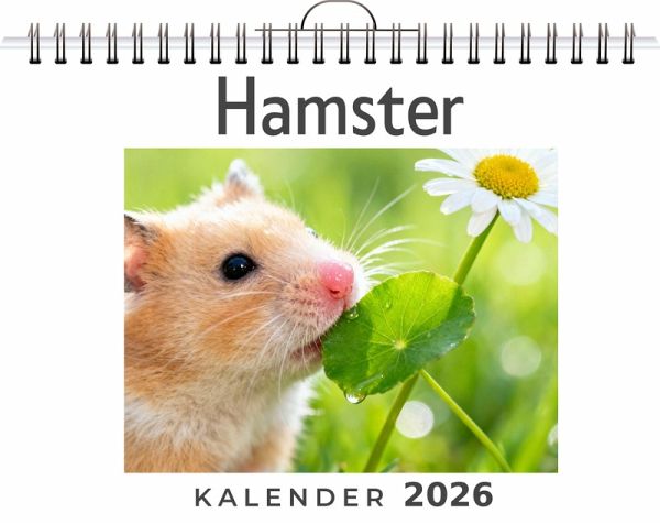 Hamster