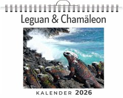 Cover Leguan & Chamäleon