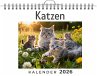 Katzen - Bild 1
