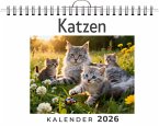 Katzen Katzen