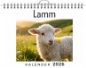 Lamm - Bild 1
