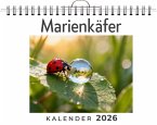 Marienkäfer Marienkäfer