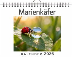 Cover Marienkäfer