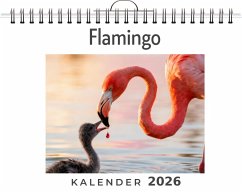 Flamingo - Schmied, Hannah