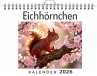 Eichhörnchen - Bild 1