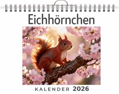 Eichhörnchen - Schmidt, Emily Eichhörnchen - Schmidt, Emily