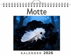 Motte - Fischer, Jonas