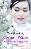 China-Bitch - Verführt und eingeritten (eBook, ePUB)