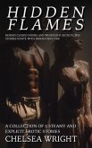 Hidden Flames - A Collection of 5 Steamy and Explicit Erotic Stories (eBook, ePUB) Hidden Flames - A Collection of 5 Steamy and Explicit Erotic Stories (eBook, ePUB)