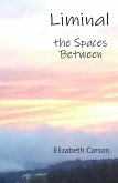 Liminal: The Spaces Between (eBook, ePUB)
