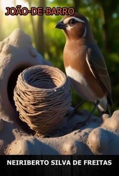 Cover João-de-barro (eBook, ePUB)