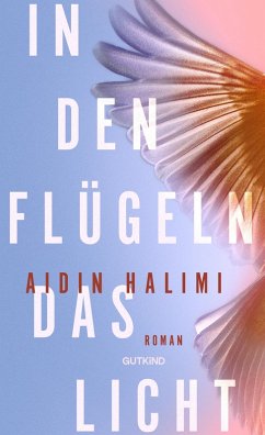In den Flügeln das Licht (eBook, ePUB) - Halimi, Aidin