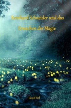 Cover Reinhard Schneider und das Erwachen der Magie - Eine Zauberer Hexen Magier Fantasy Magic Zauberschule Nürnberg Geschicht