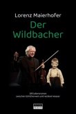 Der Wildbacher (Roman)
