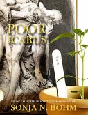 Poor Icarus (eBook, ePUB)