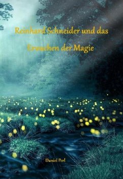 Reinhard Schneider und das Erwachen der Magie - Eine Zauberer Hexen Magier Fantasy Magic Zauberschule Nürnberg Geschichte (eBook, ePUB) - Perl, Daniel