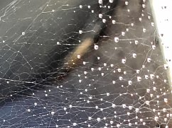 Cover 8 Stories 3 (eBook, ePUB)