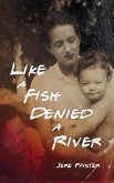Like a Fish Denied a River (eBook, ePUB)