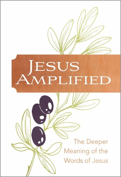 Jesus Amplified (eBook, ePUB)