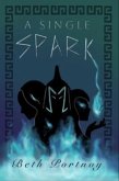 A Single Spark (eBook, ePUB)