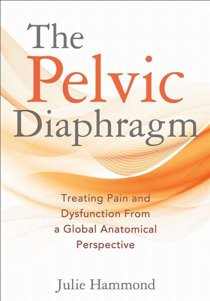 The Pelvic Diaphragm The Pelvic Diaphragm