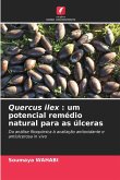 Quercus ilex : um potencial remédio natural para as úlceras Quercus ilex : um potencial remédio natural para as úlceras