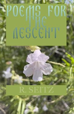 Poems for the Ascent (eBook, ePUB) - Seitz, R.