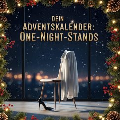 Cover Dein Adventskalender: One-Night-Stands