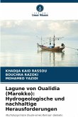 Lagune von Oualidia (Marokko): Hydrogeologische und nachhaltige Herausforderungen Lagune von Oualidia (Marokko): Hydrogeologische und nachhaltige Herausforderungen